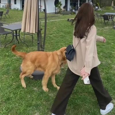 桃花泣血记