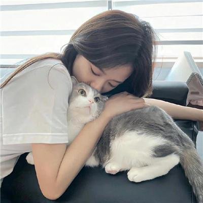 飞燕迎春